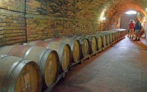 in lange rijen rijpt de wijn in houten vaten